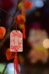 mậu binh trực tuyến Nohu